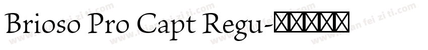 Brioso Pro Capt Regu字体转换